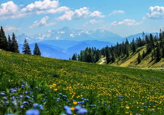Previsioni: veloce fase temporalesca, poi più sole e fresco