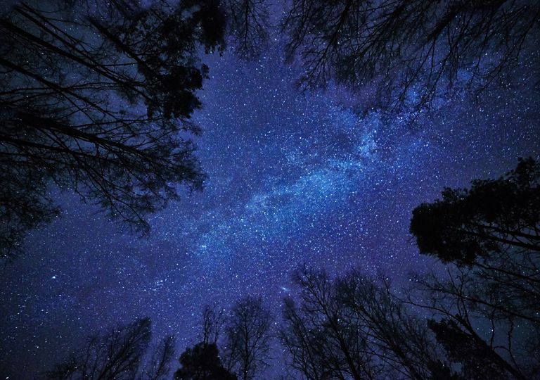 céu noturno; Líridas; céu noturno; Líridas;