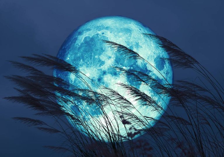 Superlua maio 2020 flowermoon super lua cheia das flores Superlua maio 2020 flowermoon super lua cheia das flores