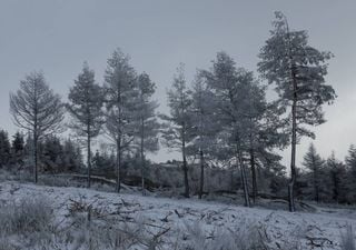 Vem aí muito frio e um temporal de chuva e neve