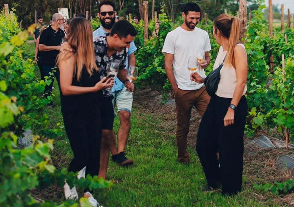 Viñedos Nueva Corinema Viñedos Nueva Corinema