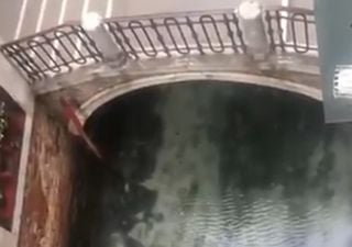 Aguas cristalinas, peces y hasta un pulpo en los canales de Venecia
