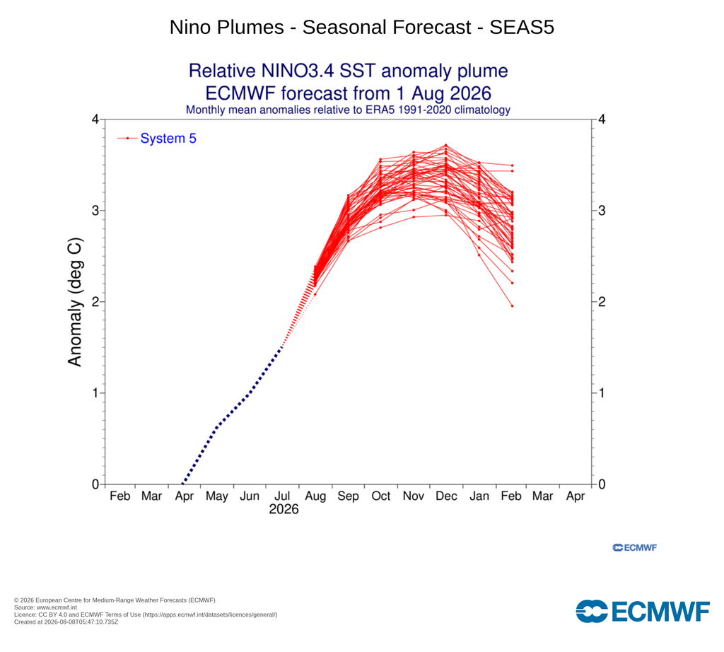 Predicción probabilista de las anomalías superficiales del agua del mar en la región Niño3.4 del Pacífico ecuatorial para los próximos meses,en rojo, con la señal de un intenso El Niño. Fuente: ECMWF