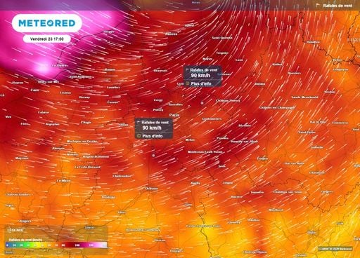 Vent fort &agrave; Paris et en &Icirc;le-de-France : jusqu&rsquo;&agrave; 90 km/h ce vendredi 23, &agrave; quoi faut-il s&rsquo;attendre ?
