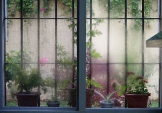 Ventanas empañadas en otoño e invierno: por qué ocurre y cómo evitarlo