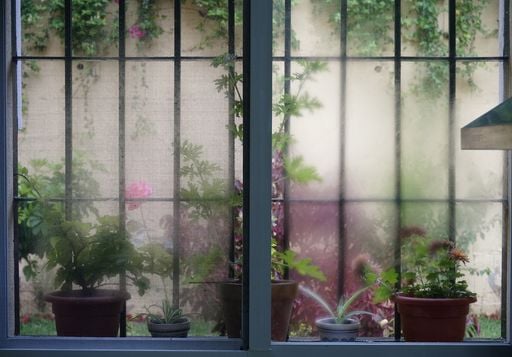 Ventanas empañadas en otoño e invierno: por qué ocurre y cómo evitarlo