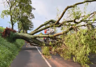 Ventania e enxurrada causam pânico em Matão, interior de SP, após temporal atingir região central da cidade
