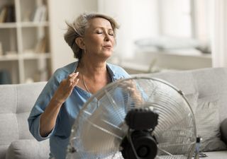 ¿Ventilador o agua en la piel? Científicos analizan estrategias para enfrentar el calor según el tipo de clima 