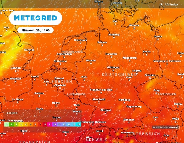 Ventilator kaufen? Daf&uuml;r ist es zu sp&auml;t" &ndash; Deutschland drohen 40 Grad