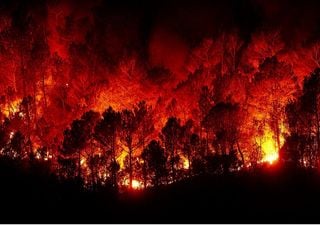 Vento e onda de calor dificultam o combate aos fogos rurais. Os dias que se seguem não vão ser melhores
