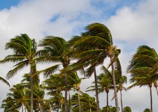 Ventos no Sul do Brasil aumentam nas próximas horas: ciclone ainda traz risco de rajadas de mais de 100 km/h