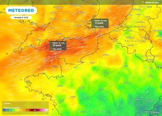 Vents forts : des rafales &agrave; 80 km/h dans plusieurs r&eacute;gions de France ce vendredi, d&eacute;couvrez lesquelles