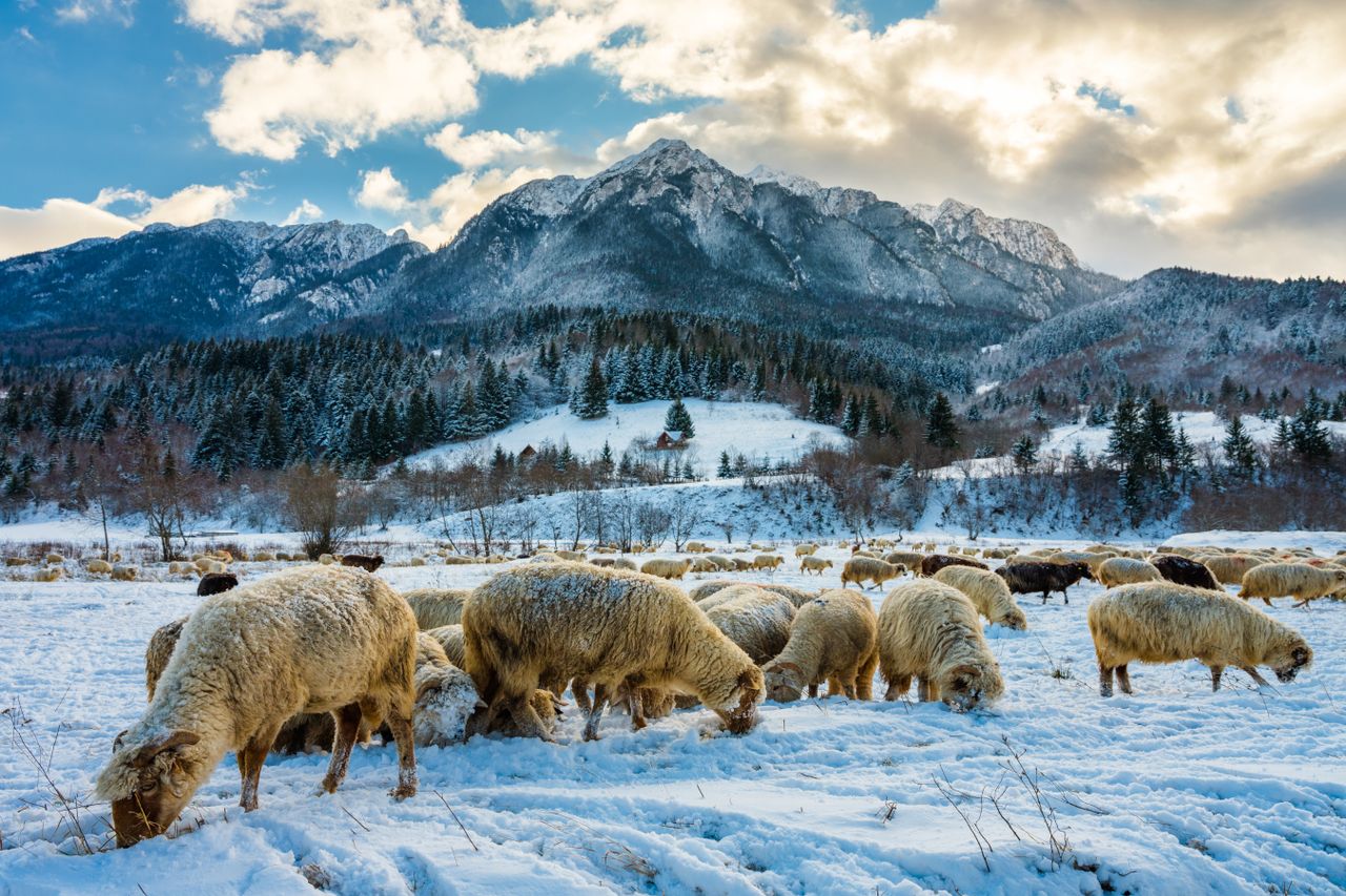 Verändert der Klimawandel hunderte Jahre alte Bauernregeln?