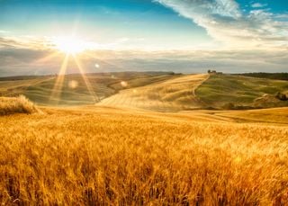 Veranico em agosto: bloqueio atmosférico define o tempo na primeira semana. Quando muda o padrão?