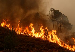 Verano 2020: ¡alerta incendios!