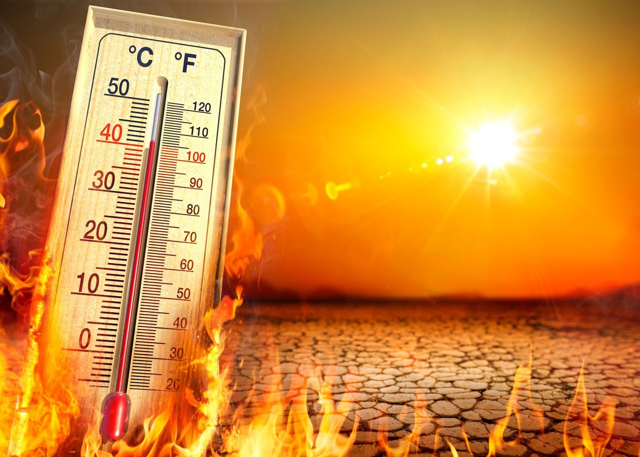 La combinación de calor extremo, incendios forestales y sequías ha convertido el verano de 2022 en un cóctel explosivo.