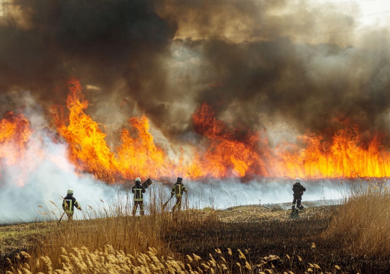 Este 2022 viene marcado por un gran número de incendios en el sur del continente europeo.