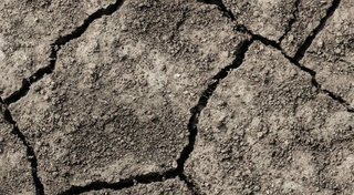Veranos europeos más secos proyectados bajo el cambio climático