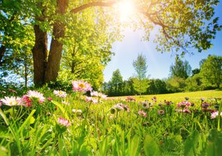 Verblüffende Wetterwende in Deutschland: Modell wirft Prognosen über Bord - statt Schnee plötzlich Frühsommer-Hit