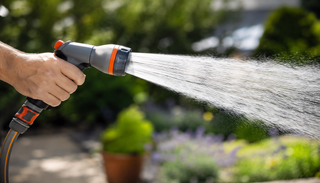 Verbrannter Rasen, wohin das Auge reicht: Ist dein Garten noch zu retten? Diese Fehler machen jetzt alles noch schlimmer