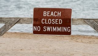 Verdade ou mentira? Praia da Rocha estar&aacute; interdita este ver&atilde;o?
