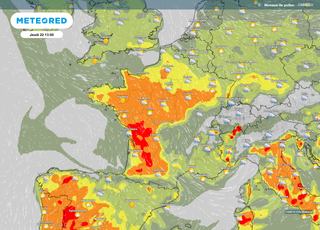 Vers des niveaux de pollens extrêmes en France dans les prochaines heures ? Découvrez les régions concernées