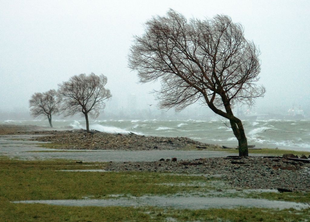 La saison hivernale peut être favorable à des épisodes pluvieux et venteux en raison d'un rail dépressionnaire plus bas en latitude.