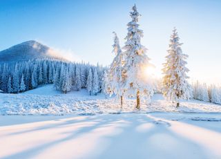 Vers un blocage anticyclonique sur la France ? Un froid plus durable va-t-il s'affirmer ?