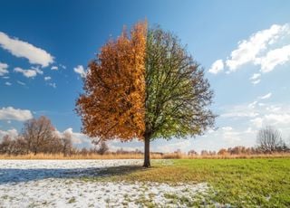 Vers un blocage météo à moyenne voire longue échéance en France ? Qui de la douceur, fraîcheur ou du froid sont prévus ?