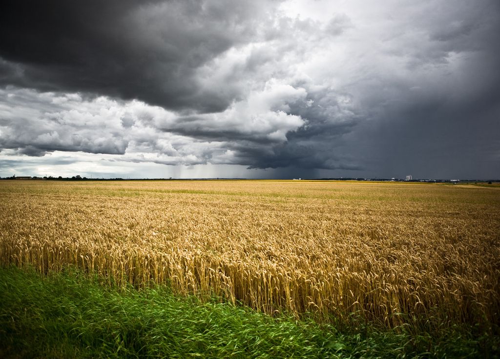 Les orages pourront faire leur retour de façon localisée.