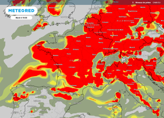 Vers une explosion des pollens cette semaine en France ? Quelles régions sont concernées par l'alerte rouge ?