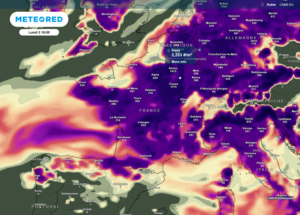 Pollens aulne mardi après-midi