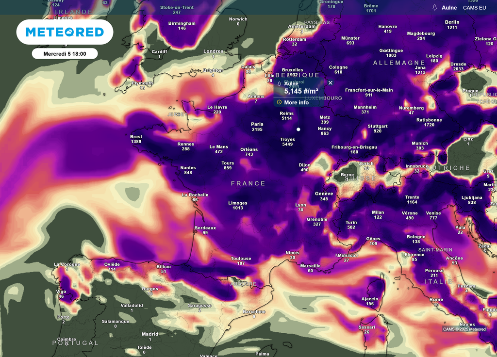 Mercredi après-midi pollens aulne