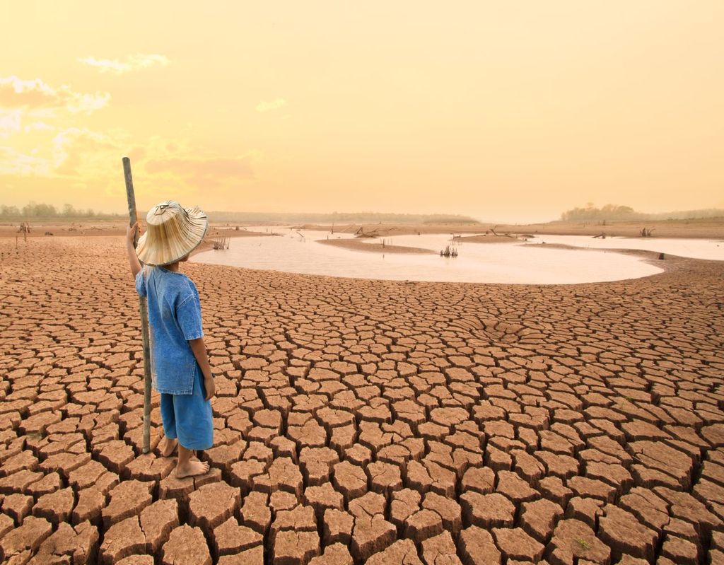 klimawandel, schäden, trockenheit klimawandel, schäden, trockenheit