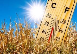 Verso mesi di luglio e agosto molto caldi, bis dell’estate 2003?