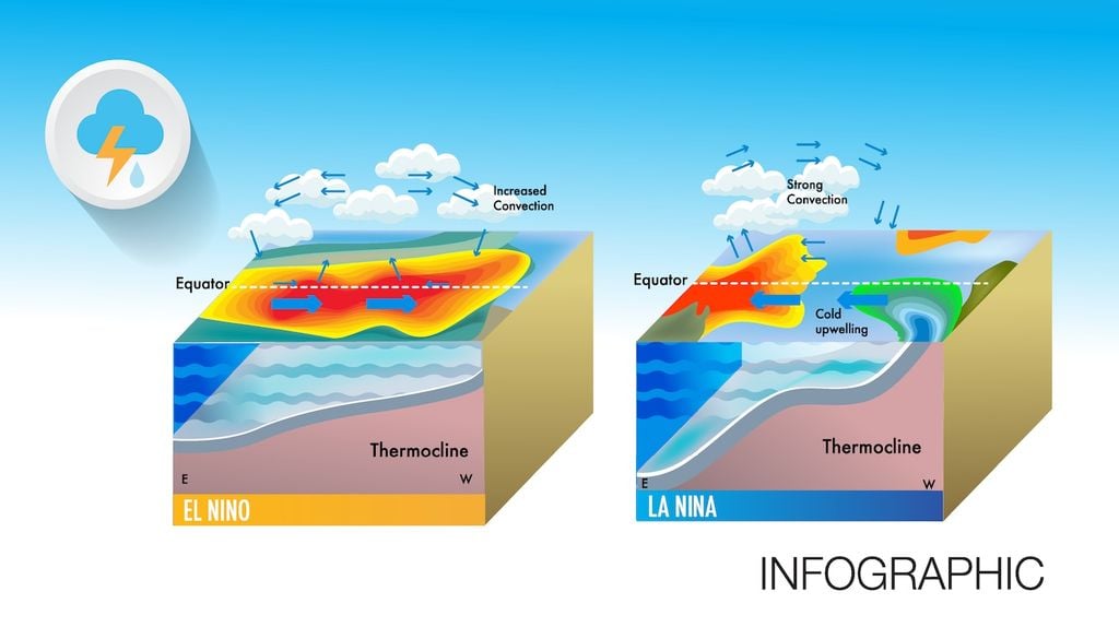 El Niño e La Niña influenzano anche l’upwelling, ovvero la risalita di acque profonde fredde e ricche di nutrienti verso la superficie del mare. El Niño in particolare lo indebolisce, inducendo cosi il riscaldamento del Pacifico centrale-orientale. Oltre ad impatti su clima, precipitazioni ed eventi estremi questo fenomeno influenza pesantemente anche la pesca.