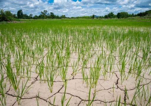 Torna El Ni&ntilde;o: temperature pi&ugrave; alte ed eventi estremi, cosa cambier&agrave; in Italia