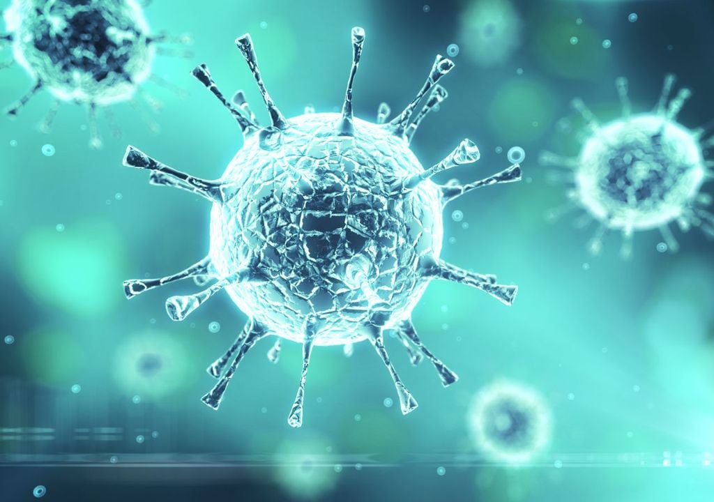 L'HIV è il virus che attacca i globuli bianchi ostacolando i meccanismi di difesa dell'organismo