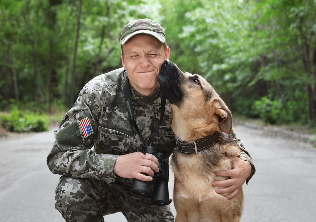 Veterans appear less likely to have PTSD with the support of a service dog.