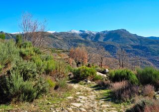 Vía Verde Ruta de la Plata o cómo disfrutar de Extremadura en todo su esplendor
