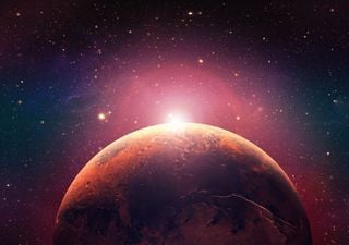 Viaggi interplanetari: gli esperimenti per eliminare il rischio principale per il corpo umano