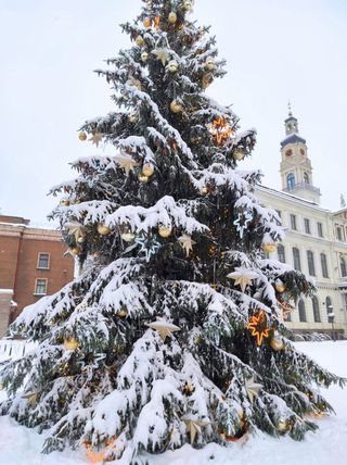 Viajando por los países Bálticos el puente de la Constitución de 2021