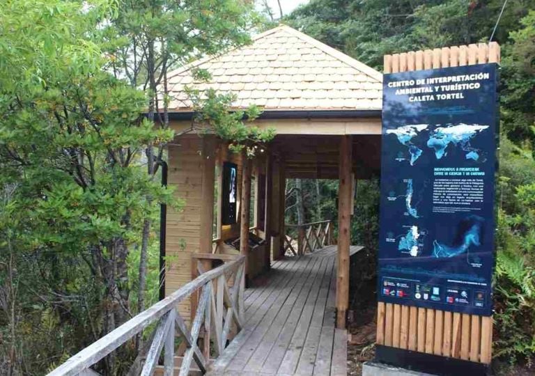 Viajar con sentido: Aysén creará red de centros que enseñen a cuidar lo que vemos