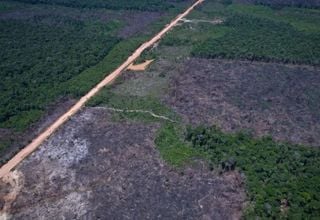 Vias ilegais avançam sobre áreas protegidas ao longo da BR-319 e ampliam pressão por desmatamento na Amazônia