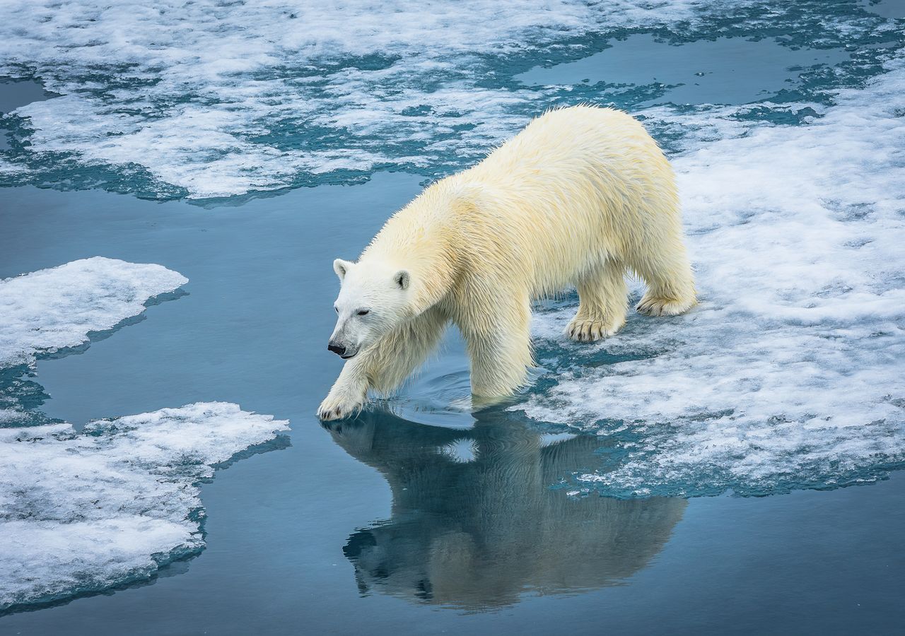Víctimas silenciosas del cambio climático: el calor extremo pone en ...