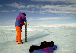 ¡Vida bajo la Antártica! Hallan criaturas a 900 metros de profundidad