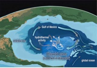 Los científicos señalan que la vida se recuperó rápidamente en el lugar del asteroide que exterminó a los dinosaurios