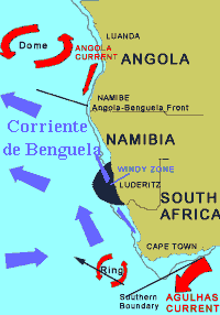Vida y muerte en las costas de Namibia 
