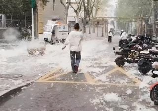 Los expertos advierten de los riesgos de la invasi&oacute;n de &ldquo;pelusas voladoras&rdquo; en varias ciudades chinas, aqu&iacute; el v&iacute;deo