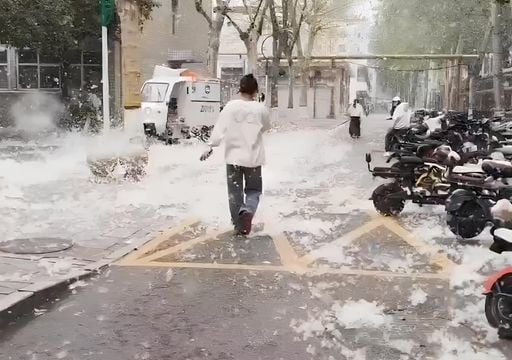 Los expertos advierten de los riesgos de la invasi&oacute;n de &ldquo;pelusas voladoras&rdquo; en varias ciudades chinas, aqu&iacute; el v&iacute;deo